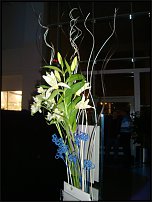 www.floristic.ru - .    