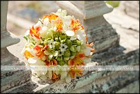 www.floristic.ru - .  .