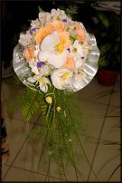 www.floristic.ru - .  .