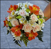 www.floristic.ru - .  .