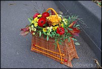 www.floristic.ru - .    !!!