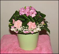 www.floristic.ru - .  