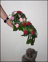 www.floristic.ru - .  