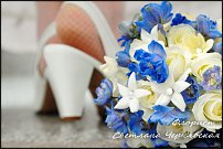 www.floristic.ru - .  .