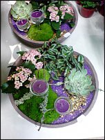 www.floristic.ru - .       - ?