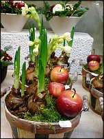 www.floristic.ru - .       - ?