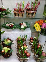 www.floristic.ru - .       - ?