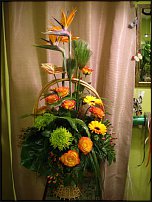 www.floristic.ru - . ,  .