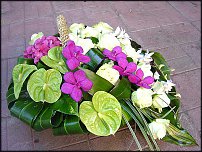 www.floristic.ru - . ,  .