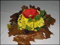 www.floristic.ru - .  !!