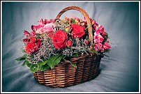 www.floristic.ru - . ,  .