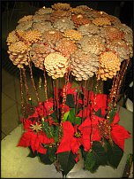 www.floristic.ru - . -  ""    21.01.2009