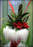 www.floristic.ru - . -  ""    21.01.2009