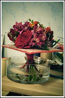 www.floristic.ru - .   