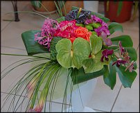 www.floristic.ru - .  