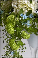 www.floristic.ru - . -     "   " 25.03.2008