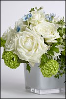 www.floristic.ru - . -     "   " 25.03.2008