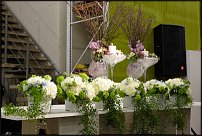 www.floristic.ru - . -     "   " 25.03.2008