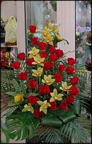 www.floristic.ru - . ,  .