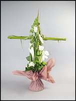 www.floristic.ru - .  