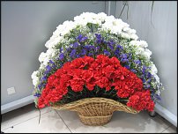 www.floristic.ru - . !!!!!