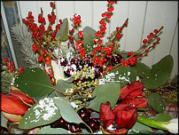 www.floristic.ru - .  , .-  ""() 23.10.2009