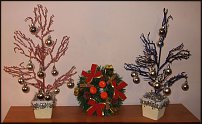 www.floristic.ru - .  