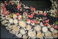 www.floristic.ru - .   ""