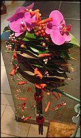 www.floristic.ru - . -