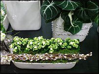 www.floristic.ru - .       - ?