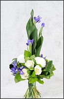 www.floristic.ru - .   , !