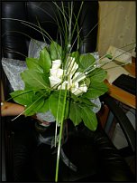 www.floristic.ru - . !!!!!