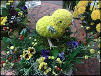 www.floristic.ru - .   ....