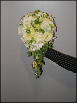 www.floristic.ru - .  .