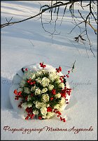 www.floristic.ru - .  .