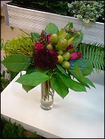 www.floristic.ru - .       - ?