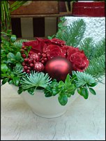 www.floristic.ru - .       - ?