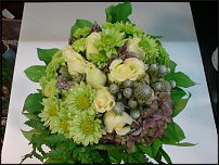 www.floristic.ru - .       - ?