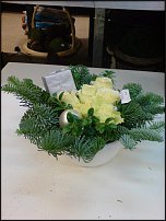 www.floristic.ru - .       - ?