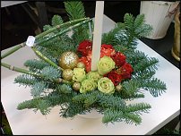 www.floristic.ru - .       - ?