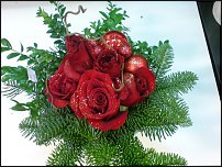 www.floristic.ru - .       - ?