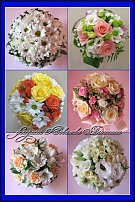 www.floristic.ru - .  .