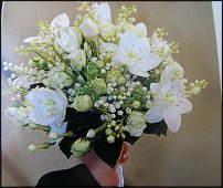 www.floristic.ru - .  .