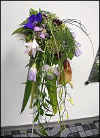 www.floristic.ru - .  .