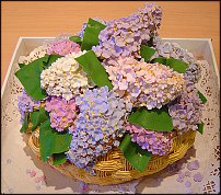 www.floristic.ru - . , !