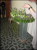 www.floristic.ru - .  .