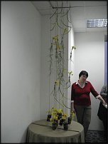 www.floristic.ru - .  .