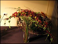 www.floristic.ru - . .  . . ..  " " 4.12.2009 .