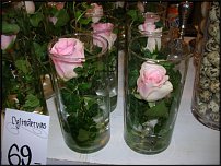 www.floristic.ru - .       - ?