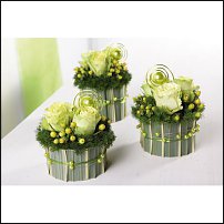 www.floristic.ru - .       - ?